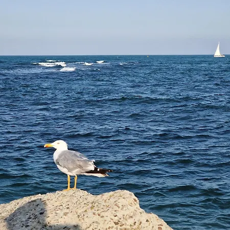 Robinson Sea Nessebar View Apartment Sveti Vlas